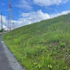 草刈り、草引き、除草作業の画像