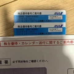 【ネット決済・配送可】ANA株主優待券