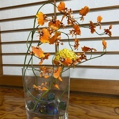 花瓶　花卉　フラワーベース　flower vase フランフラン...