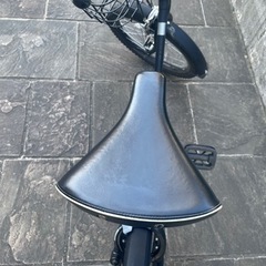 ブリヂストン自転車VEGAS グリーンレーベル　クロツヤケシ