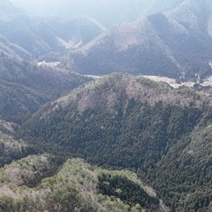 山林物件168　京都府南丹市美山町田歌の画像