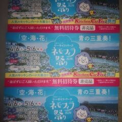 ❮お値下げ❭ネモフィラ祭り2024入園券。