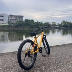 自転車 マウンテンバイク