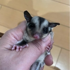 本日まだまだ空き時間ございます😊