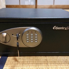 Sentry Security Safe X075 保管庫