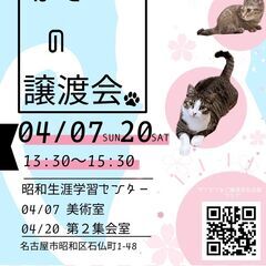 4/7(日)猫の譲渡会　in　名古屋市昭和生涯学習センター