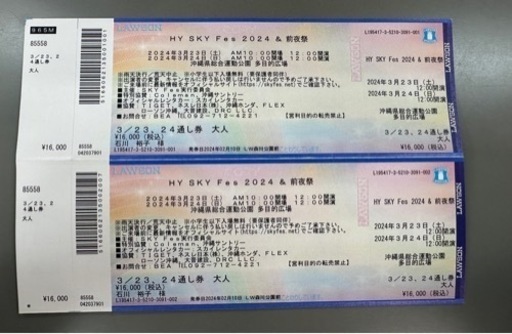 最安値　HYスカイフェス　3月23日24日　通し券2枚セット