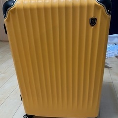 キャリーケース スーツケース 100L 大型 
