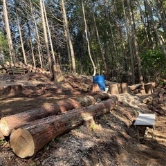 ３７０平米　山林　開拓済みキャンプ場　奈良　小倉インター下車６分　商談中 - 不動産