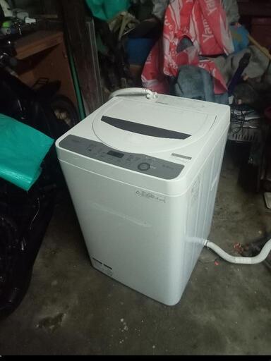 家電 生活家電 洗濯機