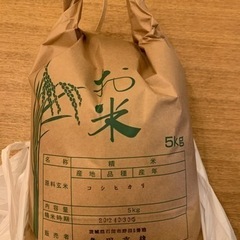 一部地域配送可能　コシヒカリ　5kg　茨城県産　令和6年産　お米