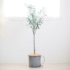 【終了】造花のユーカリの木（約50cm）