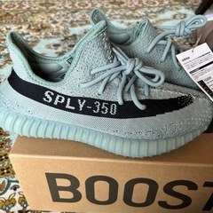 adidas YEEZY Boost350 V2 SALT