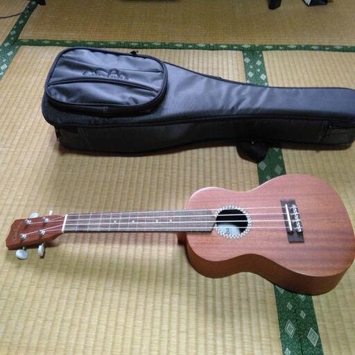 20CM ＣＯＲＤOＢＡ社　コンサートウクレレ　20シリーズ 延岡市役所近く