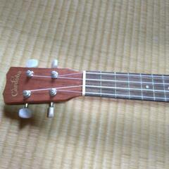 20CM CORDOBA社 コンサートウクレレ 20シリーズ 延岡市役所近く