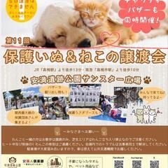 【保護猫＆犬の譲渡会】大阪府高槻市　3月31日（日）