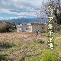 自然農法シェア畑見学会② - 平塚市