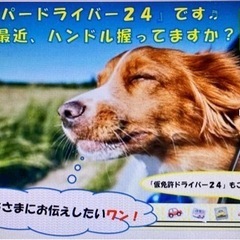 🚑　九州全域を０円カバーの『ペーパードライバー２４』の画像