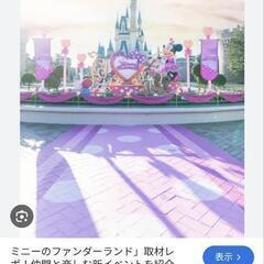 一緒にディズニーランドや東京旅行に行ける方募集しています♡