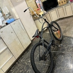 値下げ済　ビーチクルーザー　エレクトラ　