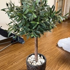 人工観葉植物(オリーブ)