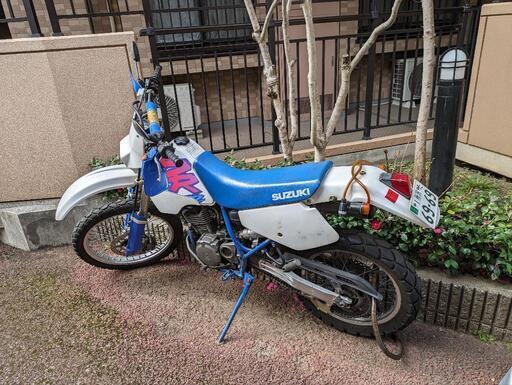 バイク スズキ　DR250