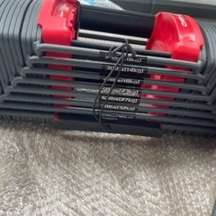 可変式ダンベル（40kg）、ベンチ台