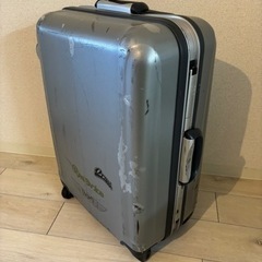 【譲渡先確定】ACE製 キャリーバッグ キャリーケース スーツケ...