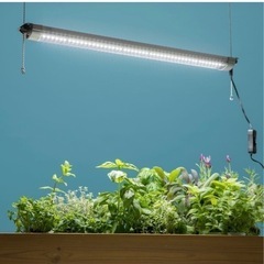 5500円　新品！植物育成ライト57cm　　照明　電気　LEDラ...