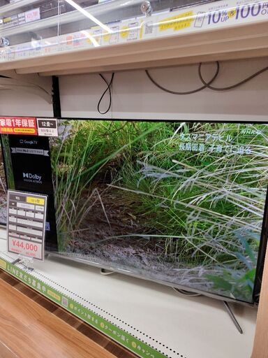 6ヶ月間動作保証付 液晶テレビ TCL 2023年製
