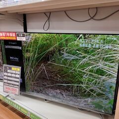 6ヶ月間動作保証付 液晶テレビ TCL 2023年製