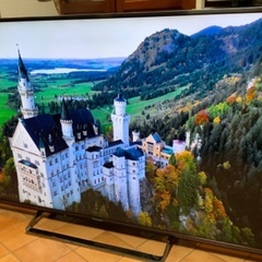 パナソニック 49インチ 49型 4K ビエラ TH-49CX800 2015年製 検 50インチ 50型