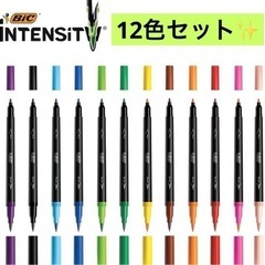 【新品未使用】【12色セット!】お絵描き イラスト ペン Bic...