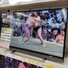 6ヶ月間動作保証付 液晶テレビ  TOSHIBA 2020年製
