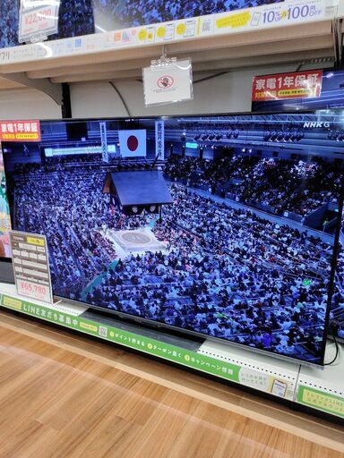 6ヶ月間動作保証付 液晶テレビ TOSHIBA 2021年製
