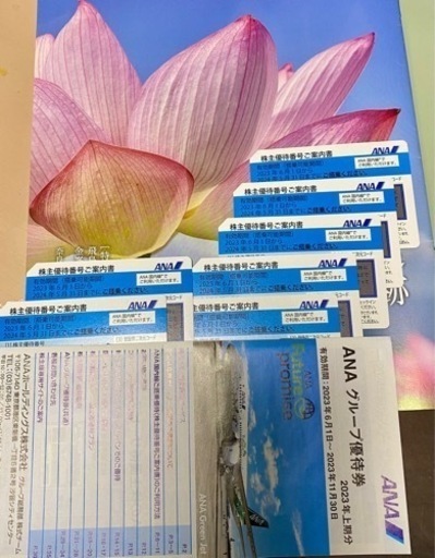 ANA株主優待　７枚