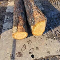 さくらの原木　(大径)薪　DIY 