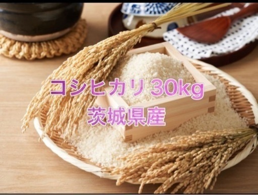 コシヒカリ30kg