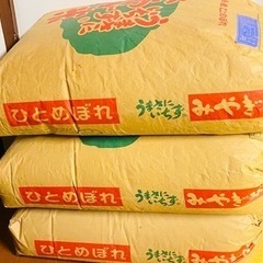 お米　ひとめぼれ　令和5年産　玄米　3袋あります