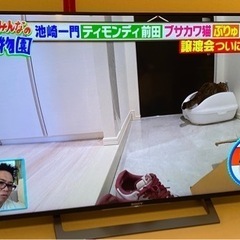SONY 49インチテレビ+テレビボード
