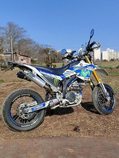 マウンテンバイク WR250X