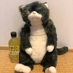 【美品】カドリー猫　ソメゴロー