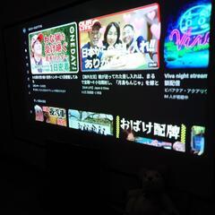 wimiusコンパクト小型DLPプロジェクター500ANSIルーメン中古美品　元箱付