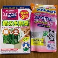 本日まで✨✨猫のトイレの消臭剤、猫草栽培