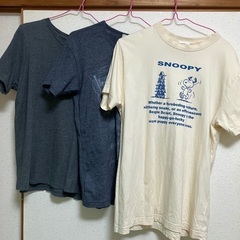 中古Tシャツ3枚