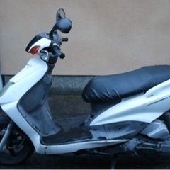 シグナス　125cc 中古バイク