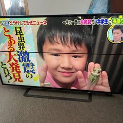 4Kテレビ　TOSHIBA 東芝 REGZA レグザ 49G20X