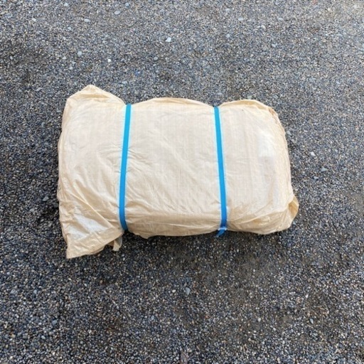 ｔバック10枚新品