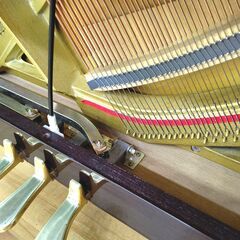 ディアパソン DL-125 【高年式/高機能/マホガニー】 内部調整 / 調律済