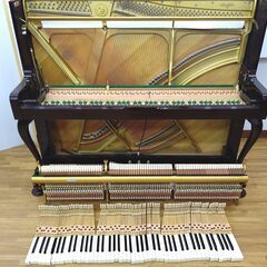 ディアパソン DL-125 【高年式/高機能/マホガニー】 内部調整 / 調律済